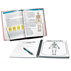 Exploring Creation with Human Anatomy and Physiology