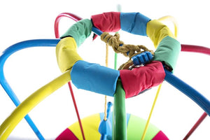 Jungle Jumparoo Bundle