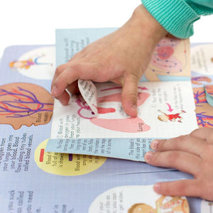 Look Inside Your Body