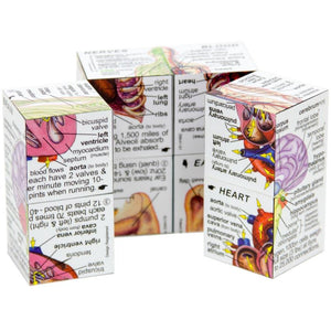 Human Body Cube Book