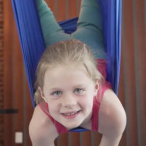 Bonobo Gym Deluxe Aerial Yoga Swing Add-On