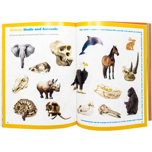 Dr. Bonyfide Presents Bones - Set of 4