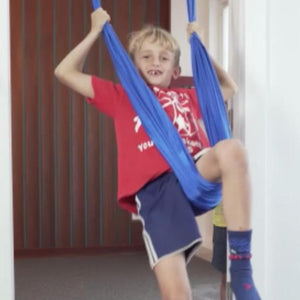 Bonobo Gym Deluxe Aerial Yoga Swing Add-On